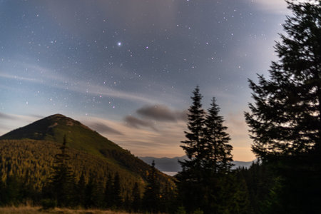 Starry night over mountain peak with coniferous forest and light clouds.