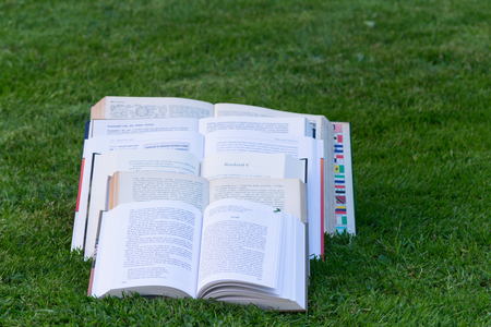 Open books in the grassの写真素材
