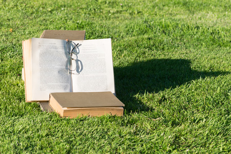 Open books in the grassの写真素材