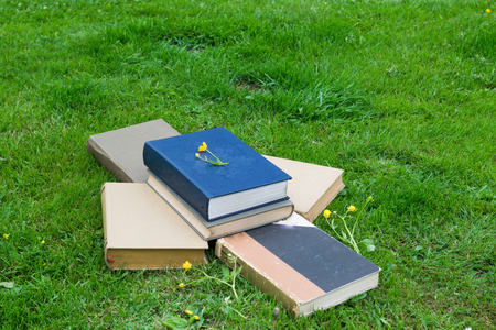 Pile of various books in the green grassの写真素材