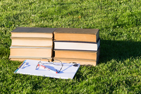 Books in the grassの写真素材