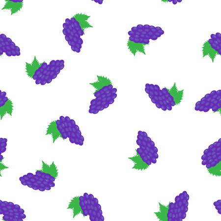 Seamless pattern with grape. Vector illustrationのイラスト素材