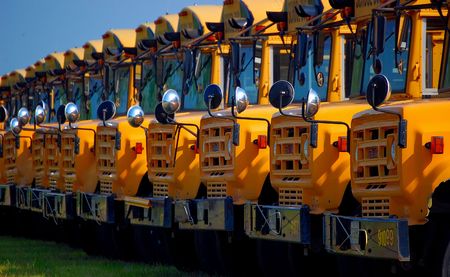 line of yellow school buses