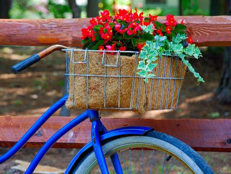 bicycle with flowers in basketの写真素材