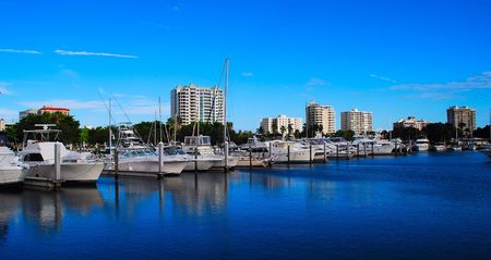 city marina and skylineの写真素材