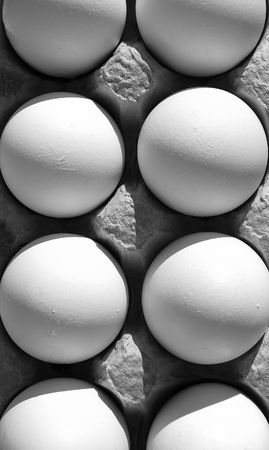 fresh eggs in carton