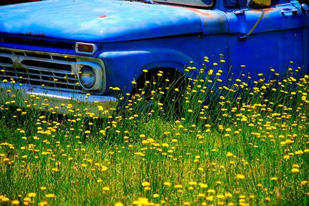 vintage truck with wild flowersの写真素材