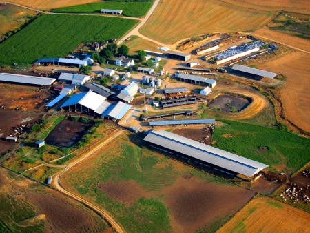  aerial view of dairy farm                             のeditorial素材