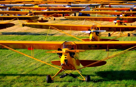 field of classic airplanes
