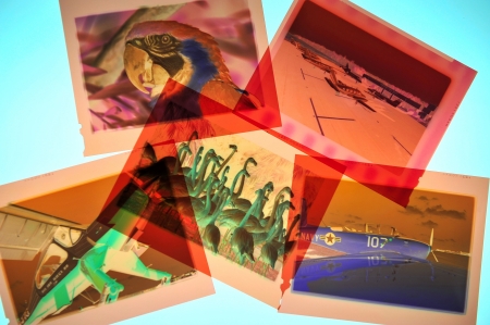 negatives on lightboxの写真素材
