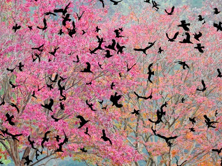 birds and colorful trees
