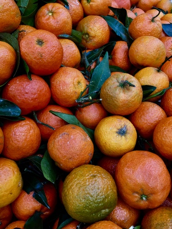 fresh fruitの写真素材