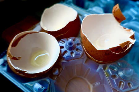 brown egg shellsの写真素材