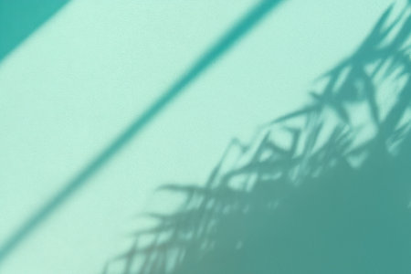 Shadow of palm leaves on a turquoise wall. Copy space.の素材