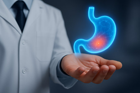 Male doctor holding a human stomach in his hand. 3D renderingの素材