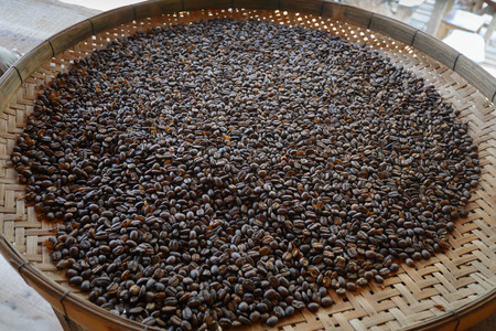 Coffee beans at Bantailue Cafe in thailandの写真素材