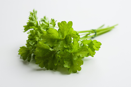 Fresh parsley on white backgroundの写真素材