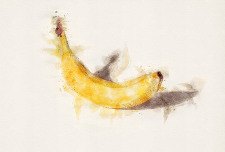 Banana hand drawn with watercolor painting styleの写真素材