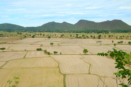 fieldの写真素材