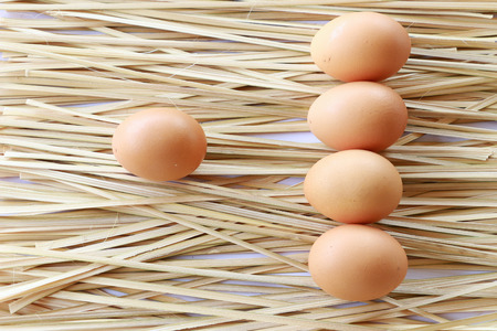 Egg on the wood backgroundの写真素材