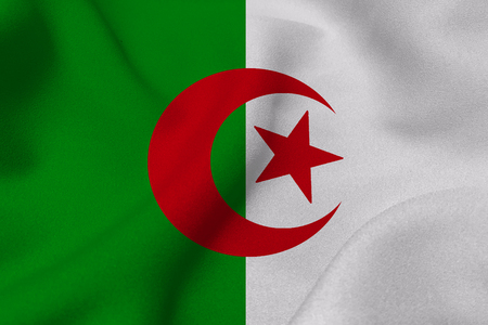 Algeria flag 3D illustration vertical bicolor symbol. Algeria flag backgroundの写真素材