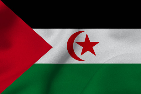 Western sahara flag 3D illustration symbolの写真素材