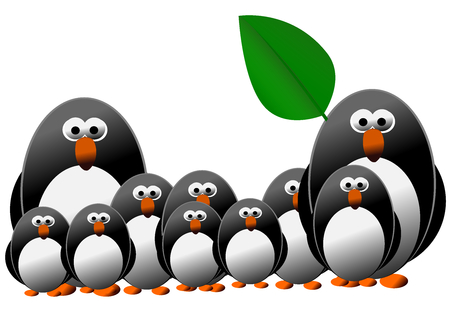 Penguin and family isolated on the white backgroundの写真素材