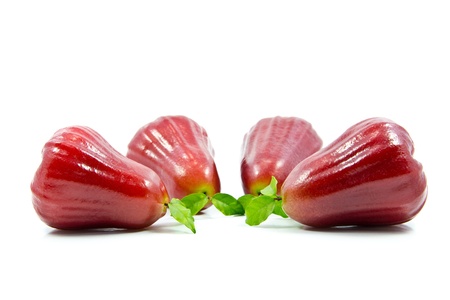 Rose apple on a white background の写真素材
