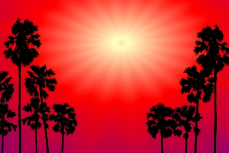 The palms  silhouette background computer generatedの写真素材