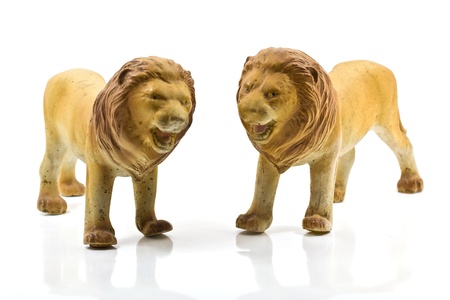 Lion model on White backgroundの写真素材