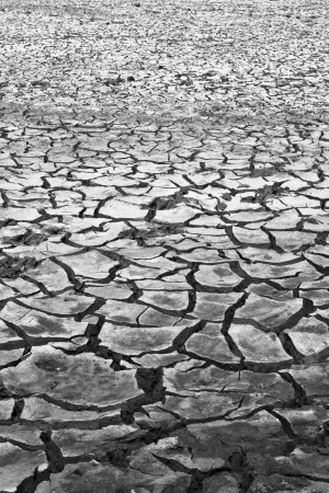 Black and white cracked soil 