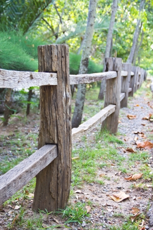 Wooden fence in the garden.の写真素材