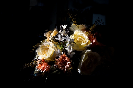 Dried flowers in the darkness.の写真素材