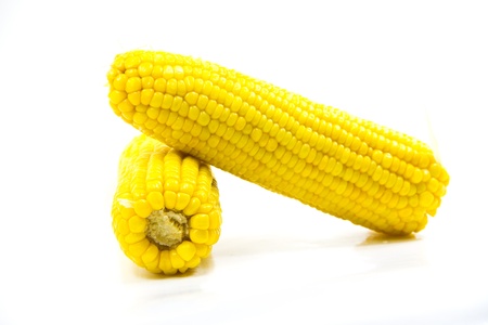 Corn on a white background.の写真素材
