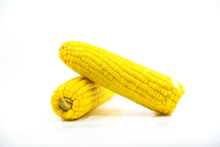 Corn on a white background.の写真素材