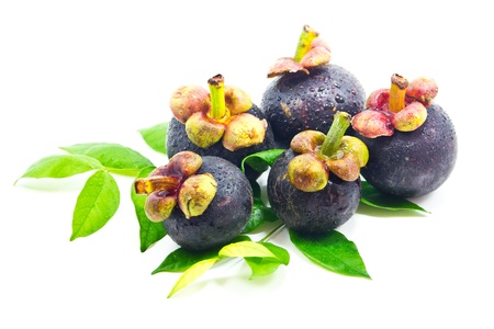 Mangosteen on white background の写真素材