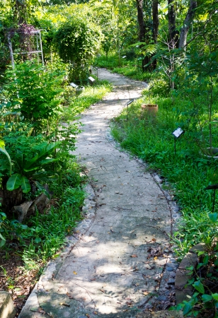 Concrete path in the garden の写真素材