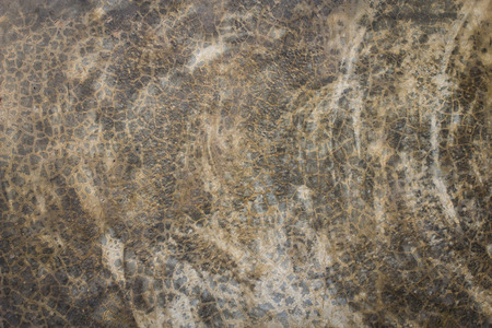 Close up of a concrete wall for backgroundの写真素材
