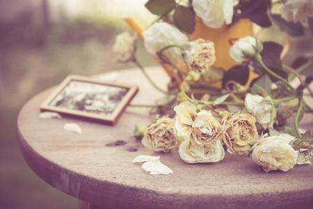 roses wither  and wooden photo framesの写真素材