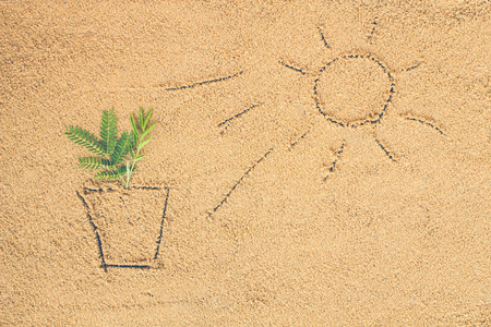 Abstract about growing plants on sand.の写真素材