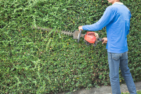 Workers were using mower for Gardening.の写真素材