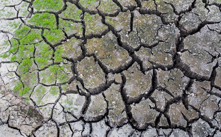 Cracked earth backgroundの写真素材