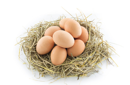 brown eggs in a nest isolated on white background