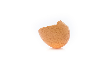 brown egg on white background