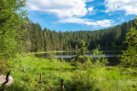 Herrenwieser lake, Forbach, Black Forest, Baden-Wuerttemberg, Germany, Europeの写真素材
