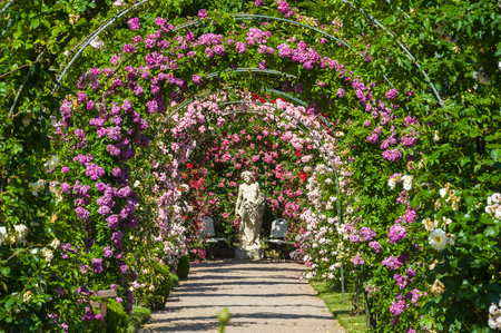 Rose Arches and gods statue in the Rose Garden Beutig, Black Forest, Baden-Wurttemberg, Germany, Europeの写真素材