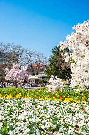 City park in Ettlingen, Germany, Black Forest, Baden-Wuerttemberg, Germany, Europeのeditorial素材