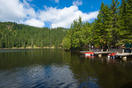 The Mummelsee near Seebach, Black Forest, Baden-Wurttemberg, Germany, Europeのeditorial素材