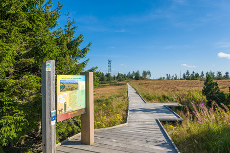 Scenery at the Hornisgrinde educational trail, Seebach, Black Forest, Baden-Wurttemberg, Germany, Europeのeditorial素材