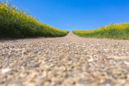 Field path runs through agricultural landscape near Walzbachtal-Johlingen. Joehlingen is a small village in the Kraichgau region of Germanyの写真素材